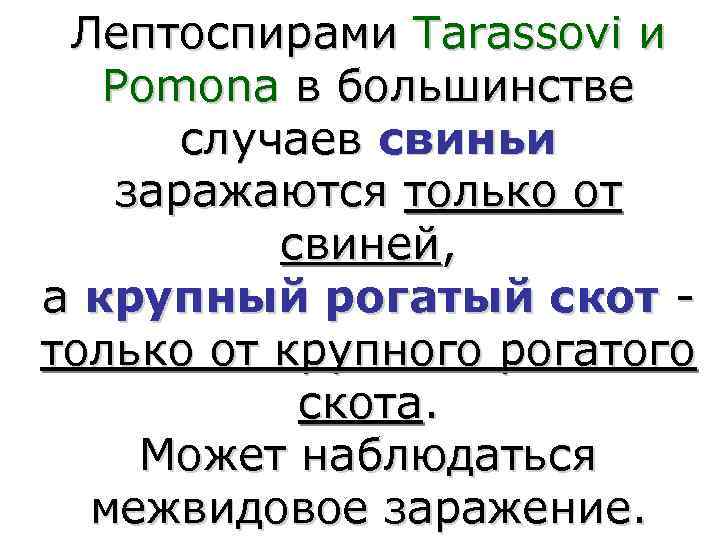  Лептоспирами Tarassovi и  Pomona в большинстве  случаев свиньи  заражаются только