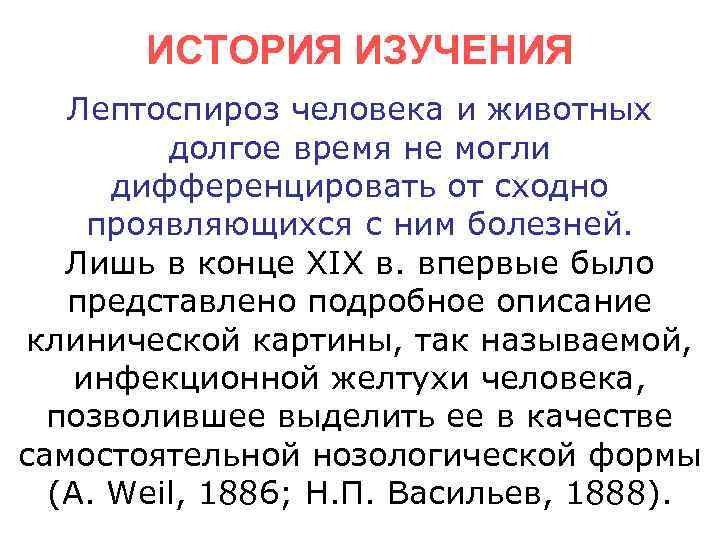   ИСТОРИЯ ИЗУЧЕНИЯ  Лептоспироз человека и животных   долгое время не