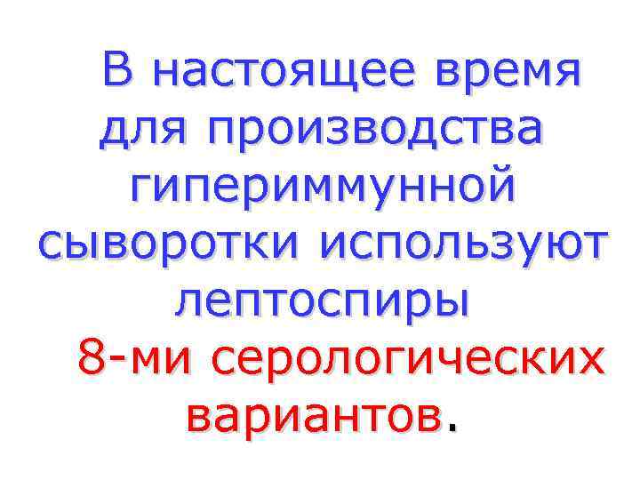  В настоящее время  для производства  гипериммунной сыворотки используют лептоспиры 8 -ми