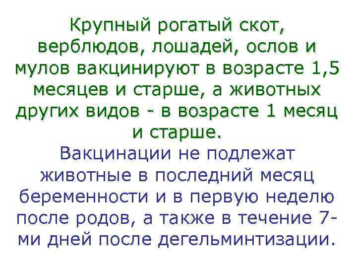  Крупный рогатый скот,  верблюдов, лошадей, ослов и мулов вакцинируют в возрасте 1,