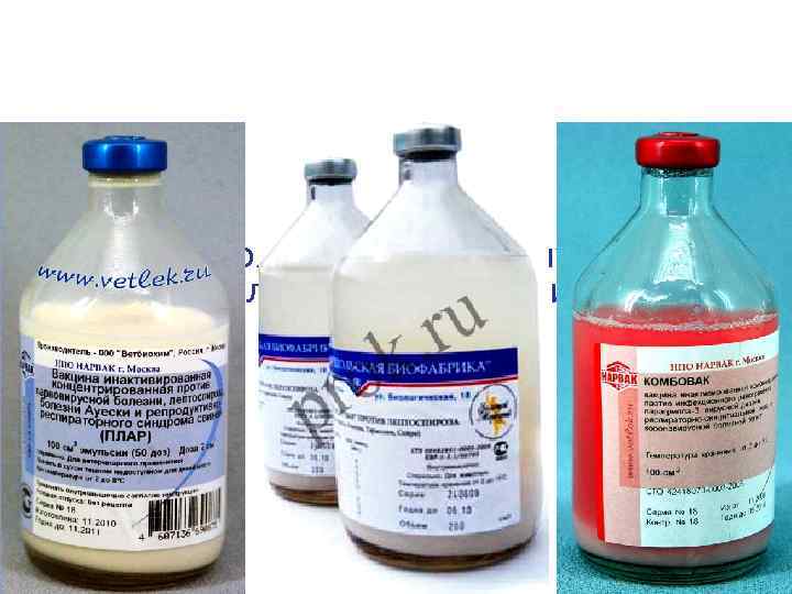   В настоящее время выпускается большое количество ассоциированных    вакцин. 