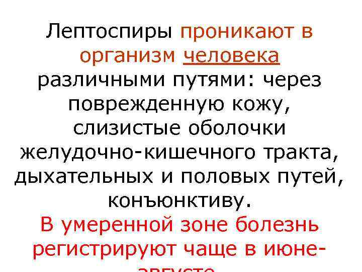   Лептоспиры проникают в  организм человека  различными путями: через поврежденную кожу,