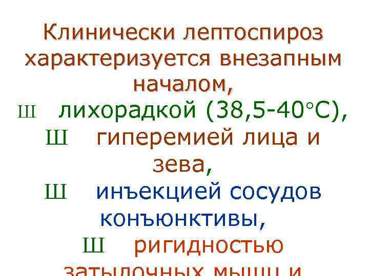  Клинически лептоспироз характеризуется внезапным   началом, Ш лихорадкой (38, 5 -40 С),