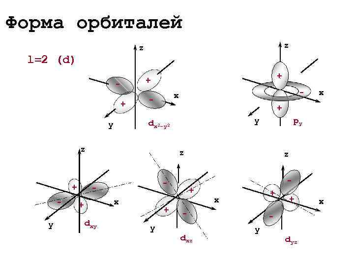 Форма орбиталей       z l=2 (d)   