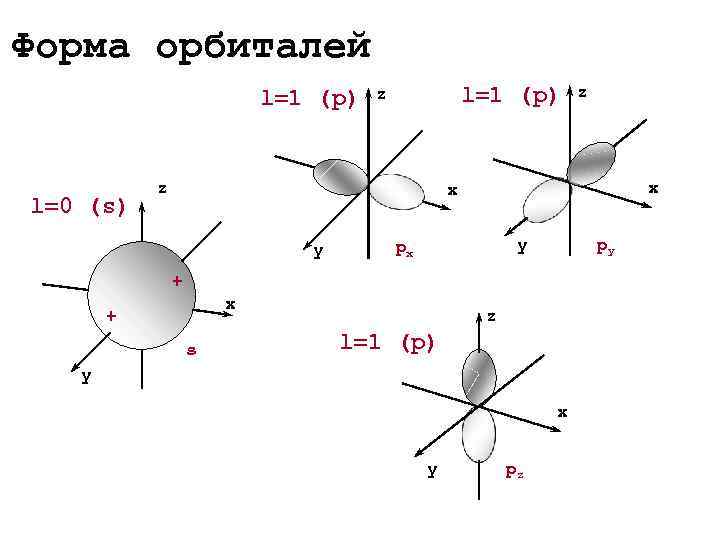Форма орбиталей      l=1 (p)  z   