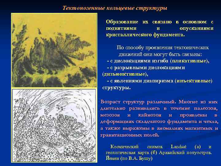 Тектоногенные кольцевые структуры    Образование их связано в основном с  