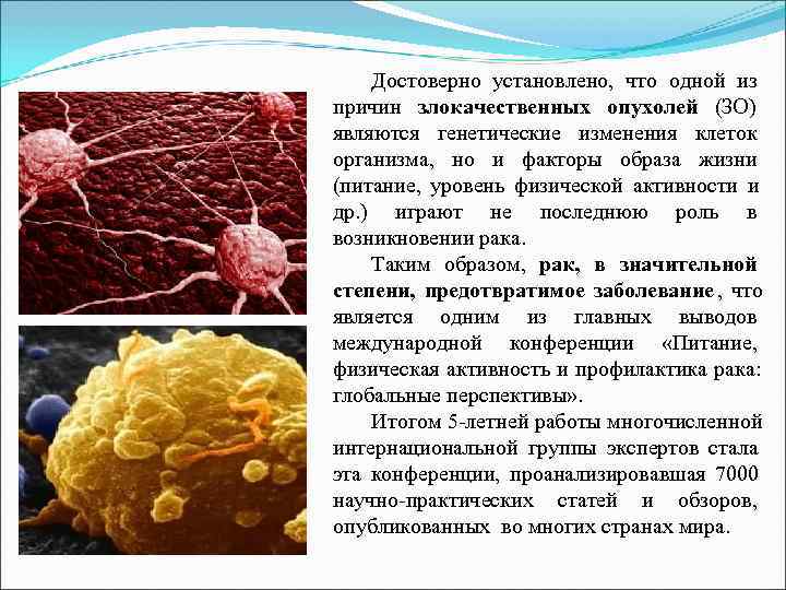  Достоверно установлено,  что одной из причин злокачественных опухолей (ЗО)   