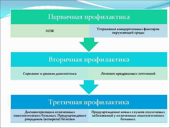 Профилактика первичная третичная