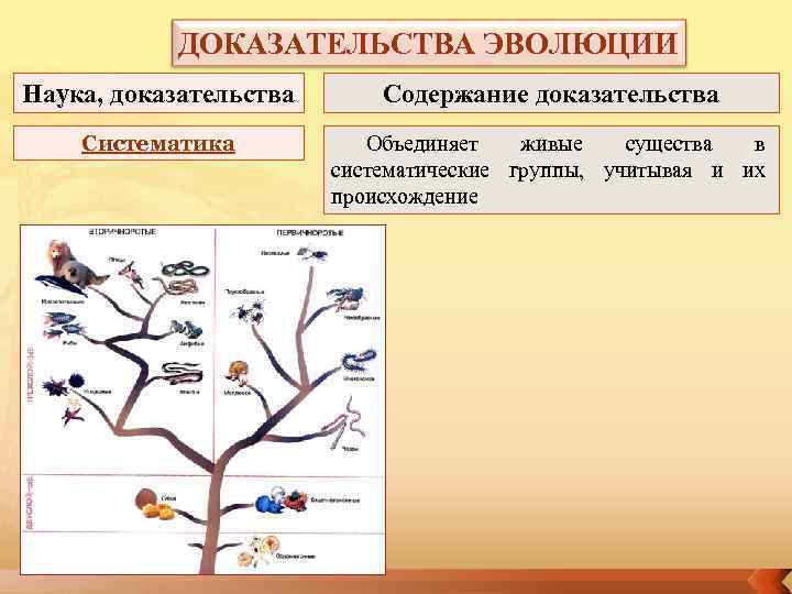 Доказательства эволюции