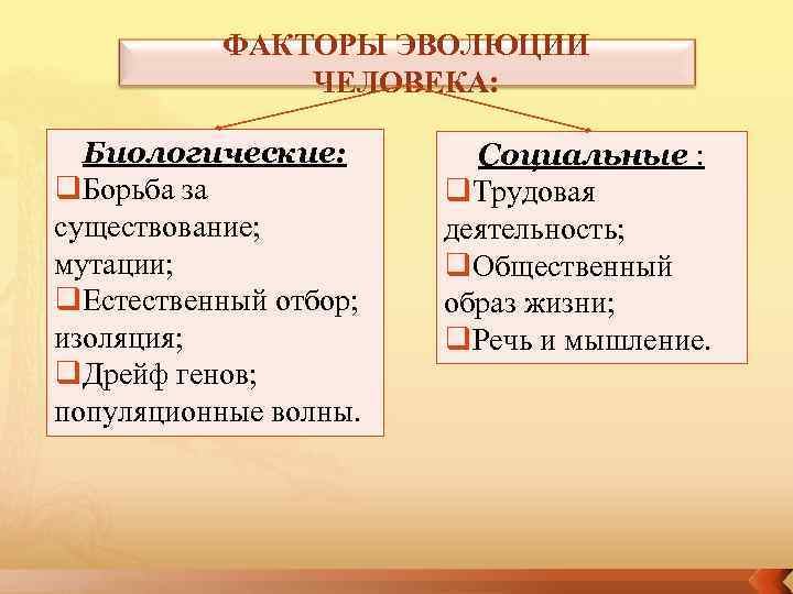    ФАКТОРЫ ЭВОЛЮЦИИ    ЧЕЛОВЕКА: Биологические:   Социальные :