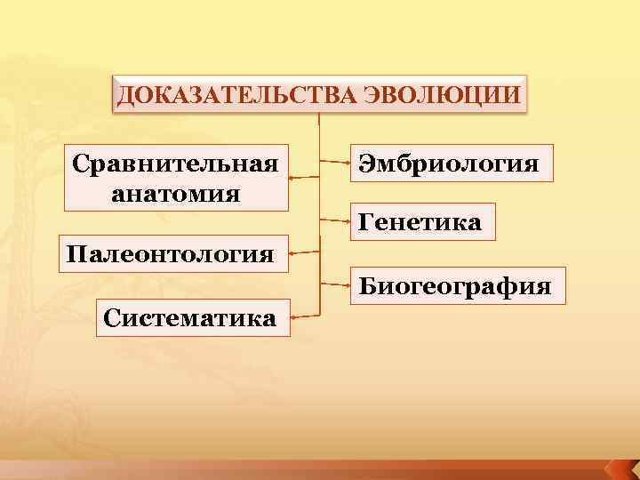   ДОКАЗАТЕЛЬСТВА ЭВОЛЮЦИИ Сравнительная  Эмбриология  анатомия   Генетика Палеонтология 