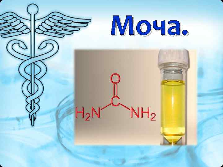 Моча. 