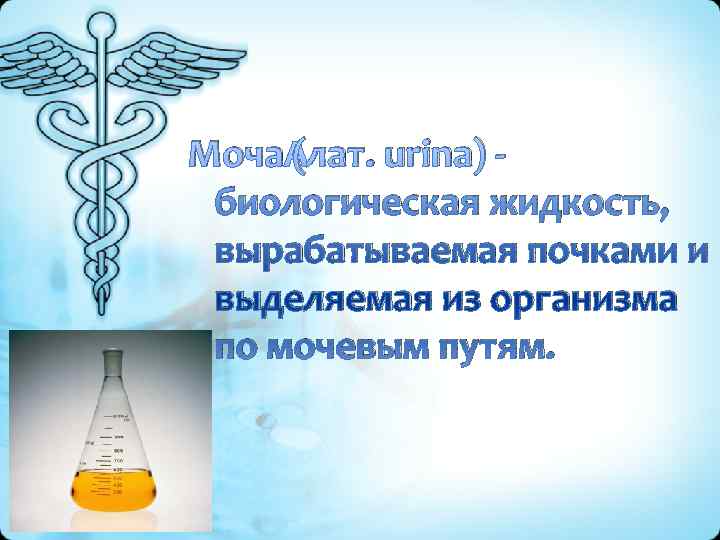 Моча (лат. urina) -  биологическая жидкость,  вырабатываемая почками и  выделяемая из