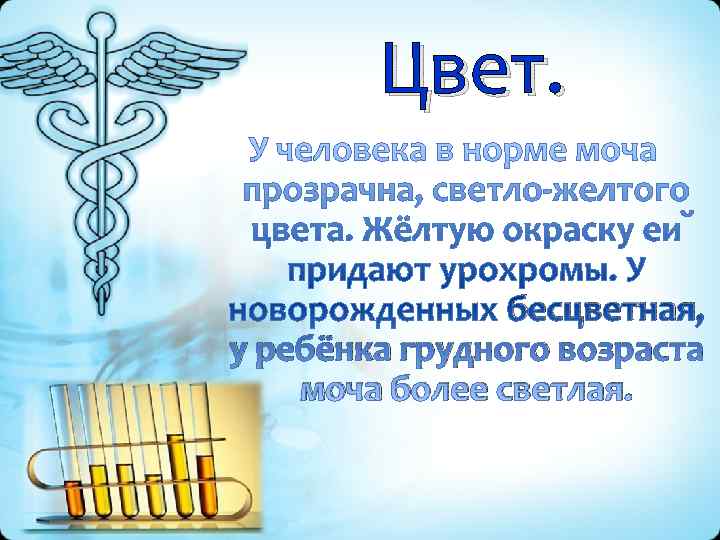   Цвет.    бесцветная,  у ребёнка грудного возраста моча более