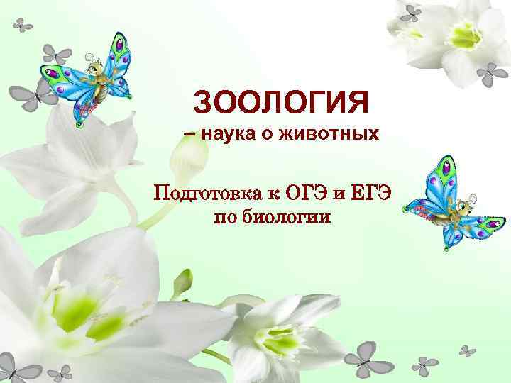   ЗООЛОГИЯ  – наука о животных  Подготовка к ОГЭ и ЕГЭ