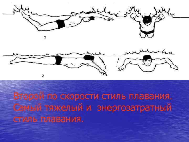 Второй по скорости стиль плавания. Самый тяжелый и энергозатратный стиль плавания. Второй по скорости стиль плавания. Самый тяжелый и энергозатратный стиль плавания.