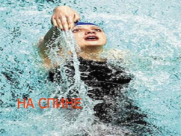 НА СПИНЕ НА СПИНЕ