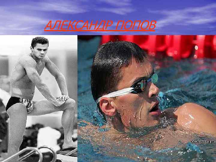 АЛЕКСАНДР ПОПОВ АЛЕКСАНДР ПОПОВ