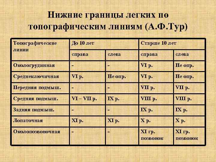    Нижние границы легких по топографическим линиям (А. Ф. Тур) Топографические 