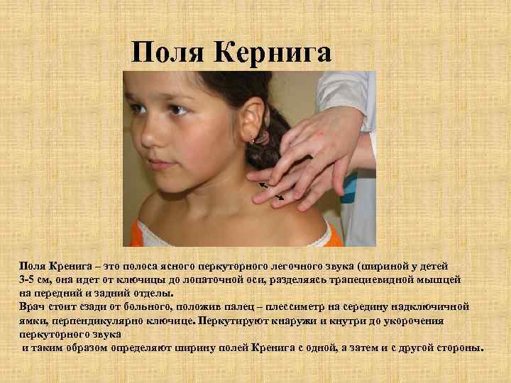     Поля Кернига Поля Кренига – это полоса ясного перкуторного легочного