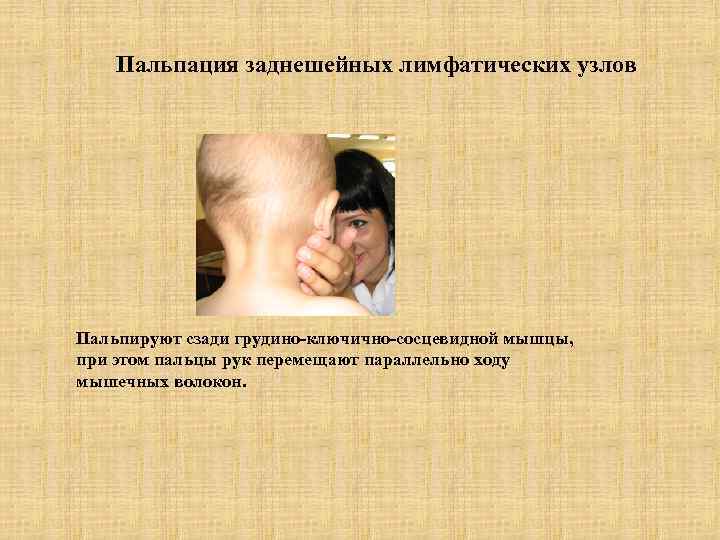   Пальпация заднешейных лимфатических узлов Пальпируют сзади грудино-ключично-сосцевидной мышцы, при этом пальцы рук