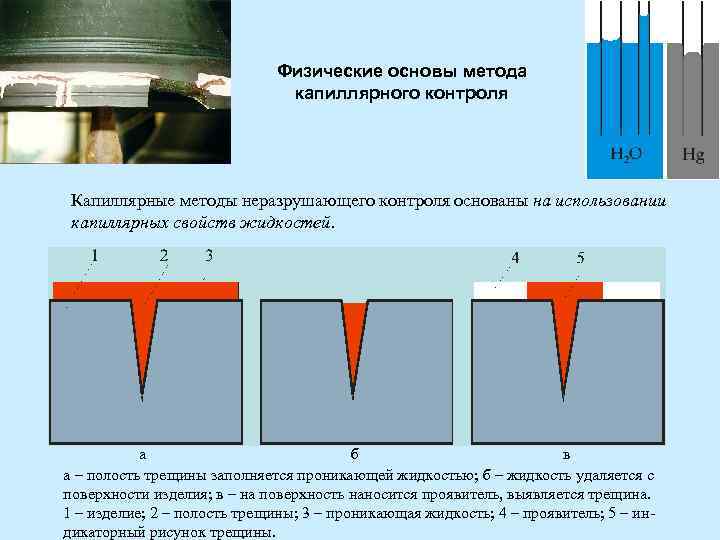 Укажите характерные признаки индикаторных рисунков шлифовочных трещин