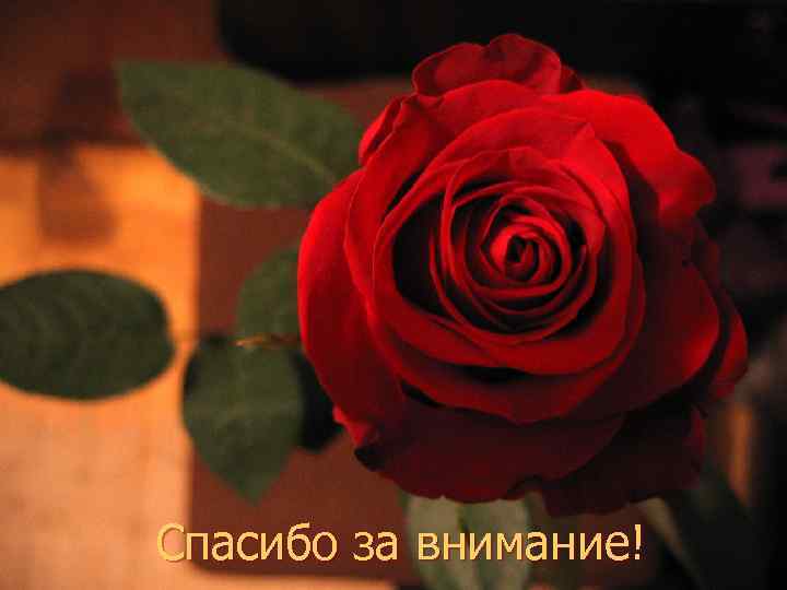 Спасибо за внимание! 