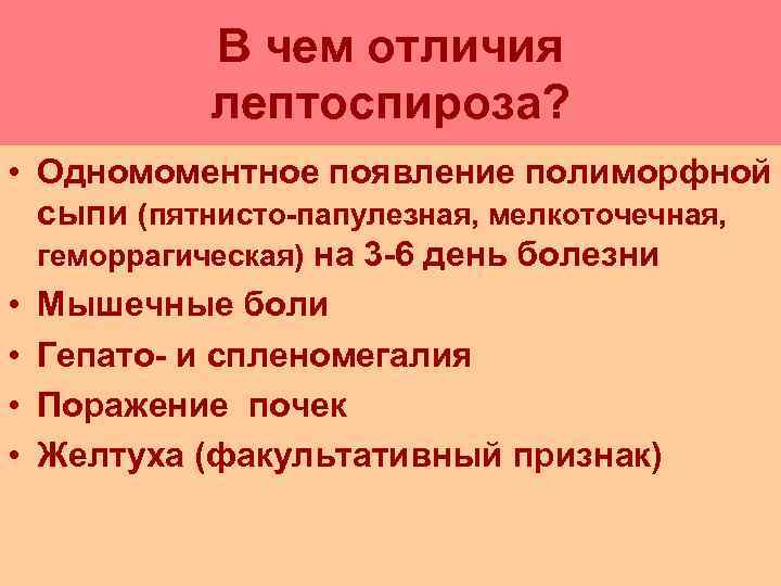   В чем отличия  лептоспироза?  • Одномоментное появление полиморфной  сыпи