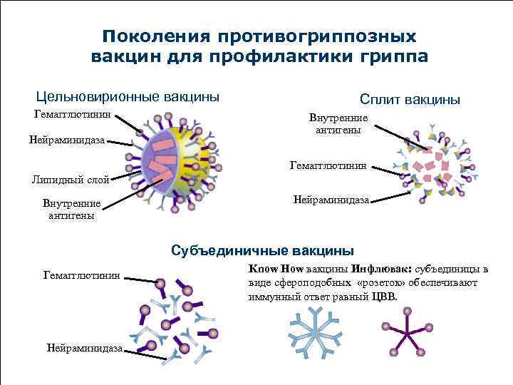   Поколения противогриппозных  вакцин для профилактики гриппа  Цельновирионные вакцины  