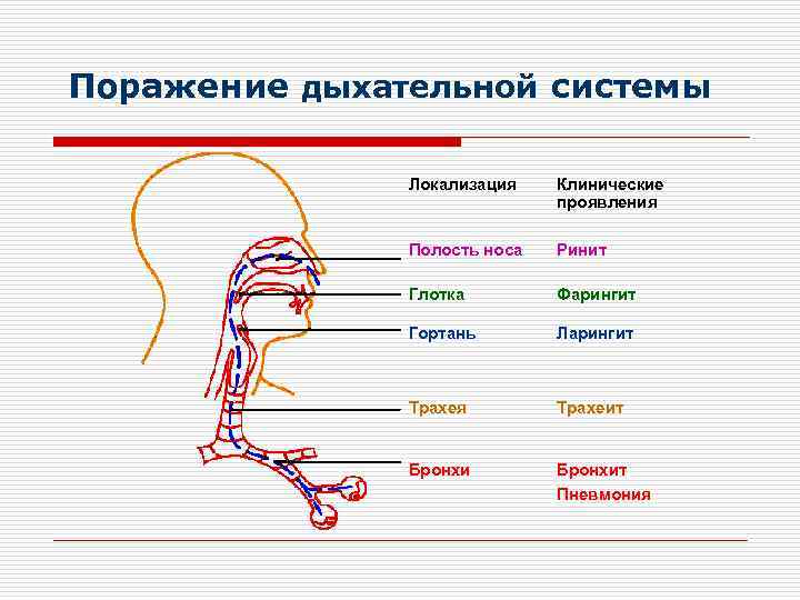Поражение дыхательной системы   Локализация  Клинические      проявления
