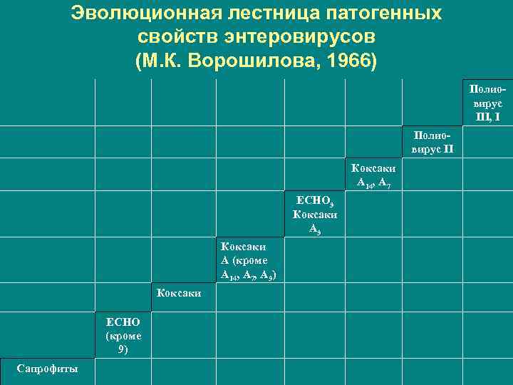   Эволюционная лестница патогенных   свойств энтеровирусов   (М. К. Ворошилова,