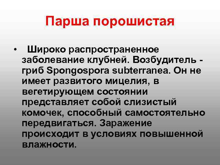   Парша порошистая  • Широко распространенное заболевание клубней. Возбудитель - гриб Spongospora