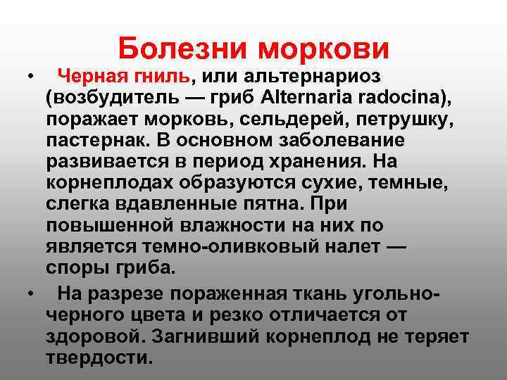  Болезни моркови •  Черная гниль, или альтернариоз  (возбудитель — гриб