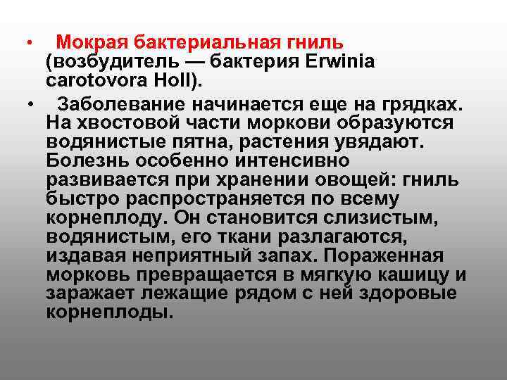  •  Мокрая бактериальная гниль  (возбудитель — бактерия Erwinia  carotovora Holl).