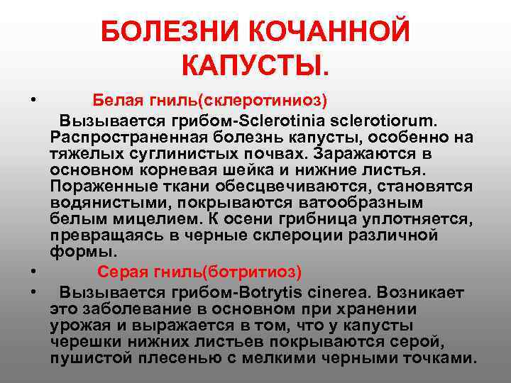   БОЛЕЗНИ КОЧАННОЙ  КАПУСТЫ.  •  Белая гниль(склеротиниоз)  Вызывается грибом-Sclerotinia