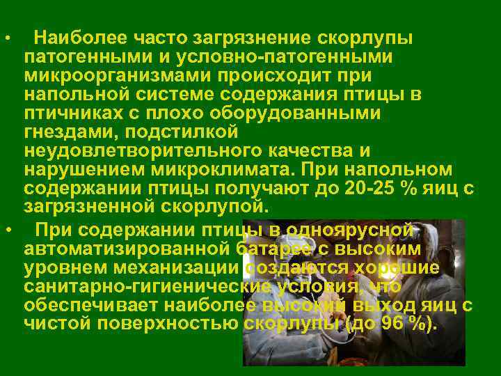  •  Наиболее часто загрязнение скорлупы  патогенными и условно-патогенными  микроорганизмами происходит
