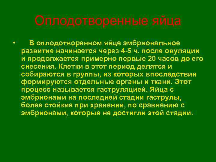   Оплодотворенные яйца • В оплодотворенном яйце эмбриональное развитие начинается через 4 -5