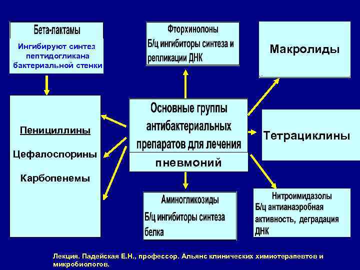 Какие антибиотики ингибируют синтез микробной стенки