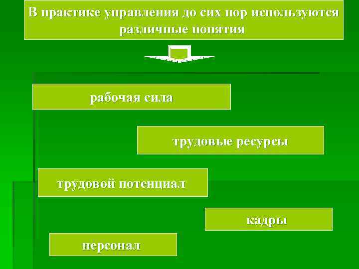 В практике управления до сих пор используются    различные понятия  