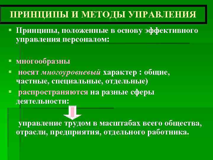 ПРИНЦИПЫ И МЕТОДЫ УПРАВЛЕНИЯ § Принципы, положенные в основу эффективного  управления персоналом: 
