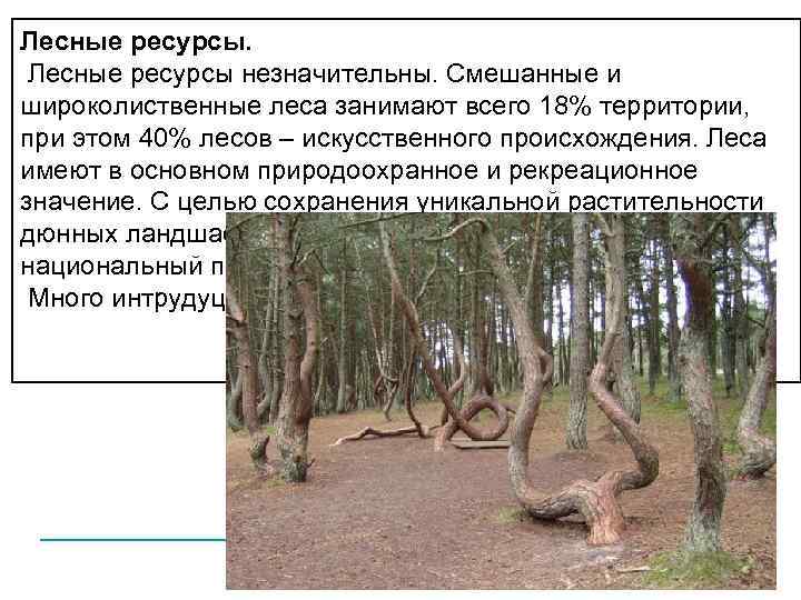 Лесные ресурсы.  Лесные ресурсы незначительны. Смешанные и широколиственные леса занимают всего 18% территории,