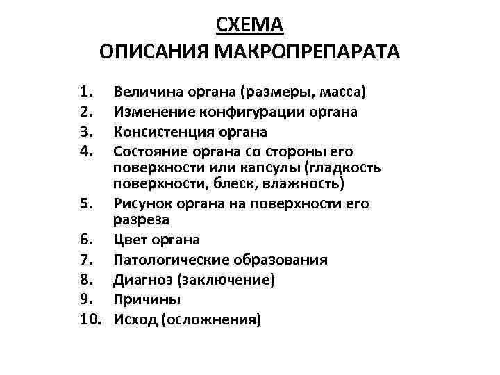    СХЕМА ОПИСАНИЯ МАКРОПРЕПАРАТА 1.  Величина органа (размеры, масса) 2. 