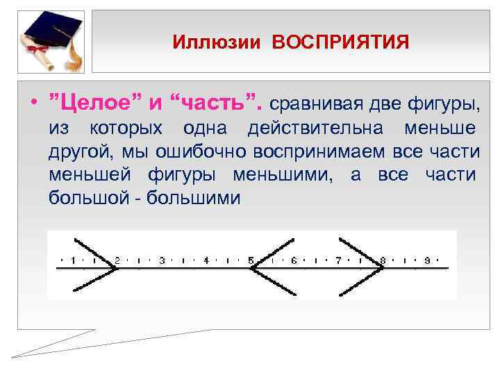    Иллюзии ВОСПРИЯТИЯ  • ”Целое” и “часть”. сравнивая две фигуры, 