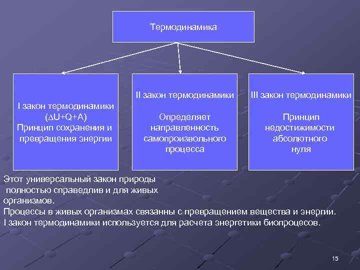       Термодинамика       II