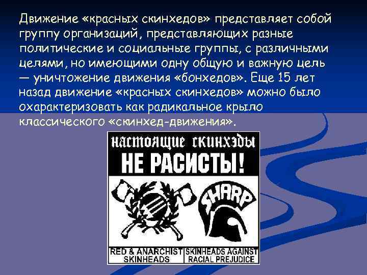 Движение «красных скинхедов» представляет собой группу организаций, представляющих разные политические и социальные группы, с
