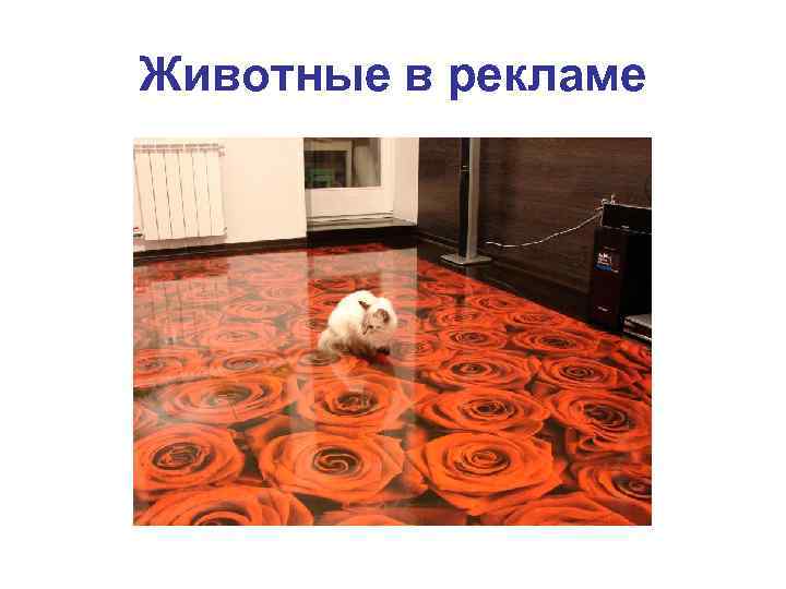 Животные в рекламе 