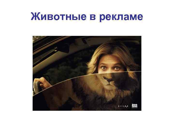 Животные в рекламе 