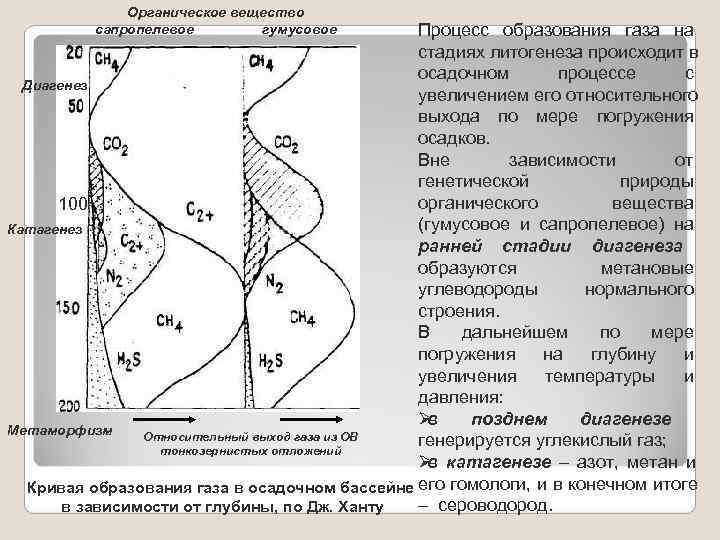    Органическое вещество  сапропелевое  гумусовое  Процесс образования газа на