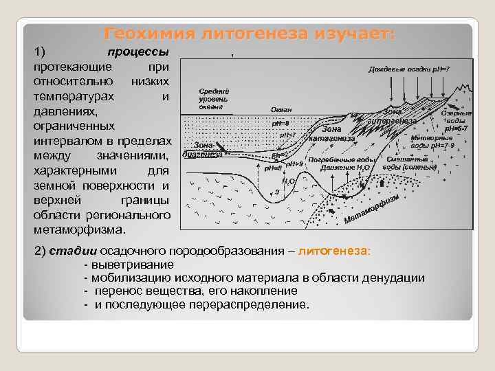    Геохимия литогенеза изучает: 1)   процессы   , протекающие