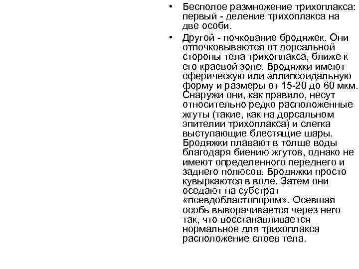  • Бесполое размножение трихоплакса:  первый  деление трихоплакса на  две особи.